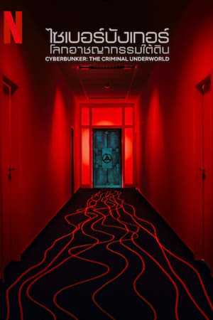 Cyberbunker Darknet In Deutschland (2024)