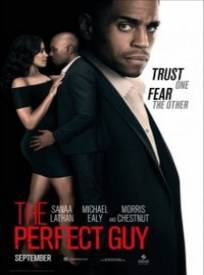 The Perfect Guy (2024)
