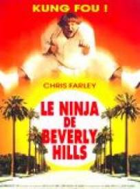 Le Ninja De Beverly Hills (1997)