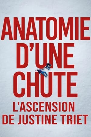 Anatomie Dune Chute Lascension De Justine Triet (2024)