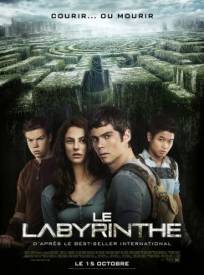 Le Labyrinthe The Maze Ru (2024)