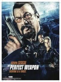 The Perfect Weapon (2024)