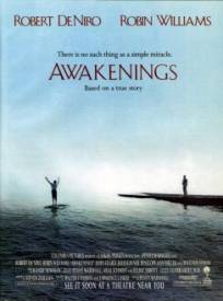 Leveil Awakenings (1991)