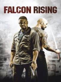Falcon Rising (2024)