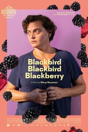 Blackbird Blackberry (2024)
